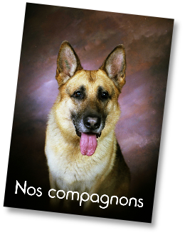 Nos compagnons